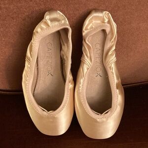 Capezio Develope Pointe Shoes